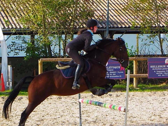 Photo de profil de dapplt