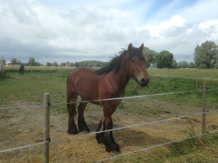 Photo de profil de darry