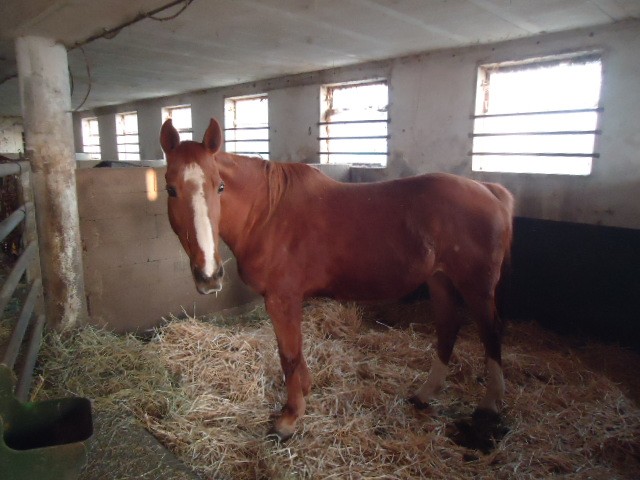 Photo de profil de dauphin57