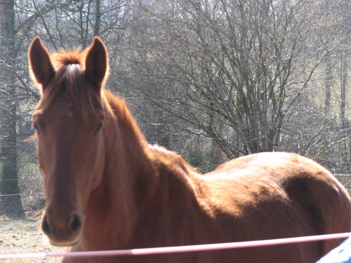 Photo de profil de dblem