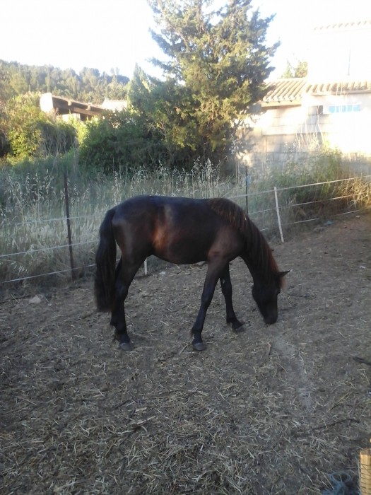 Photo de profil de dd11200