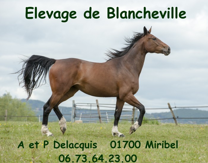 Photo de profil de delacquis