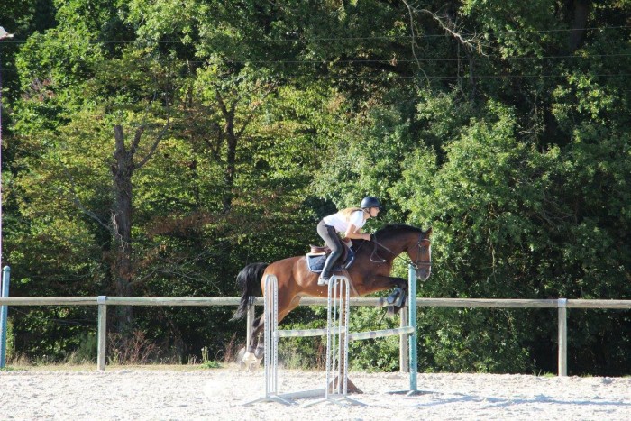 Photo de profil de delvaux