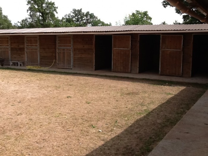 Photo de profil de didiermartin