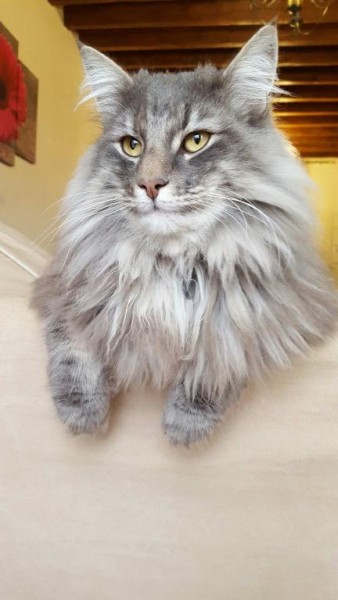 Photo de profil de didinettette