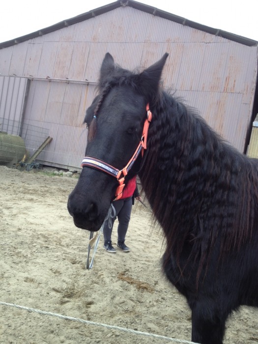 Photo de profil de diorfrisonda