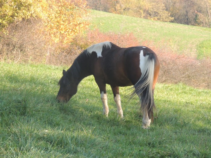 Photo de profil de dlyn