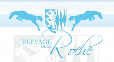 Photo de profil de domainechainier