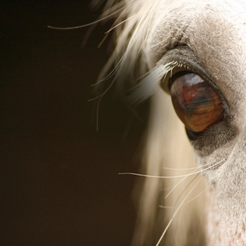 Photo de profil de domainemejanes