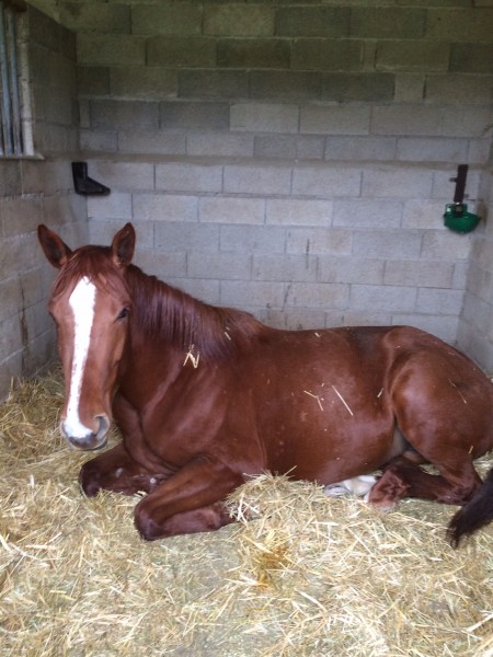 Photo de profil de dominique02