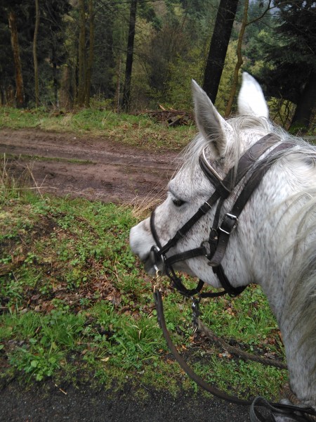 Photo de profil de domlouise