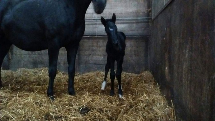 Photo de profil de donna93