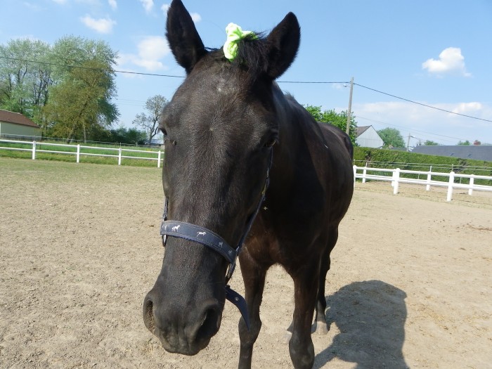 Photo de profil de dougoudou