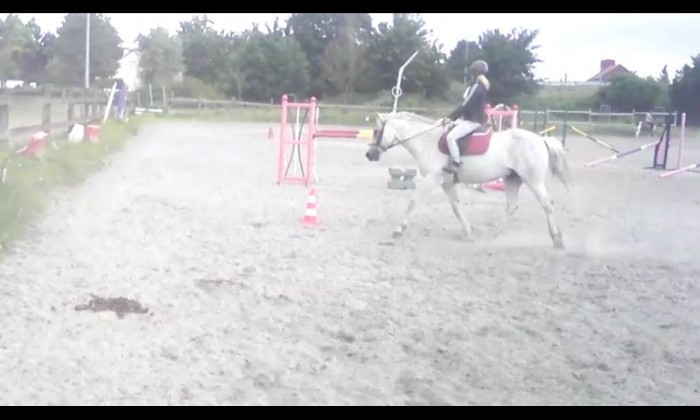 Photo de profil de dreamora