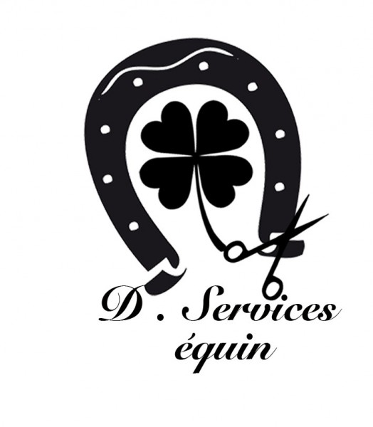 Photo de profil de dservicesequin