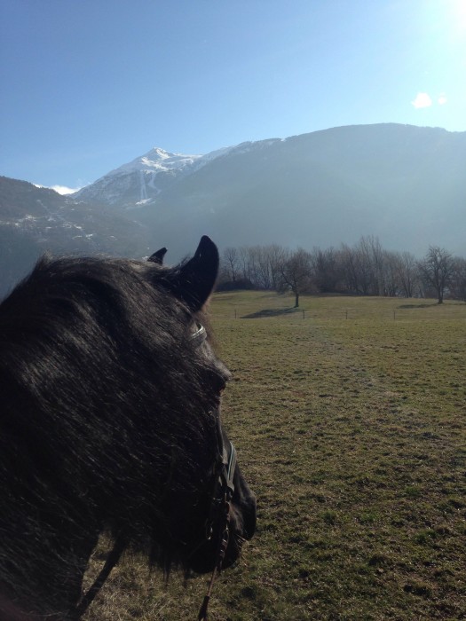 Photo de profil de duby73