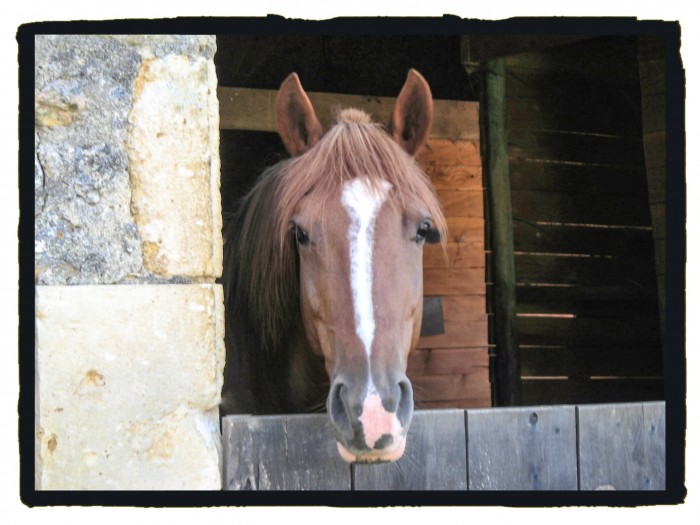 Photo de profil de duermes