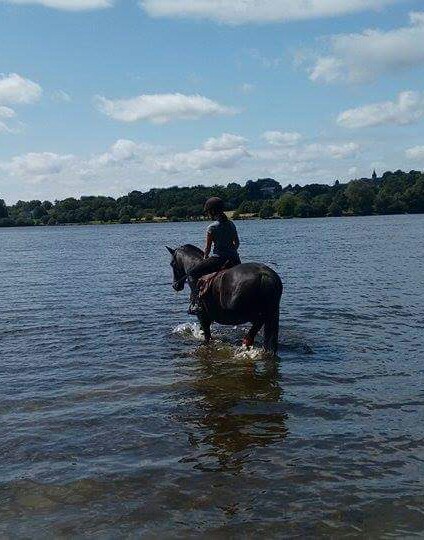 Photo de profil de dynadress