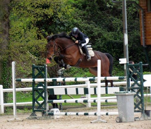 Photo de profil de ecuriesaby