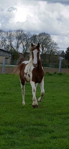 Photo de profil de edalgo_emilie