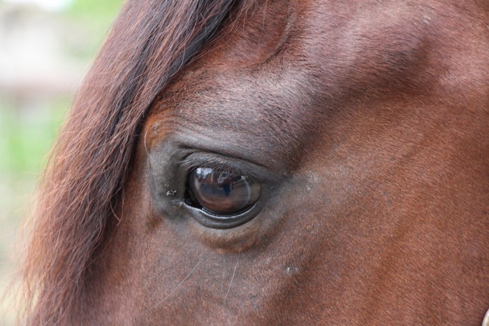 Photo de profil de edenjazz