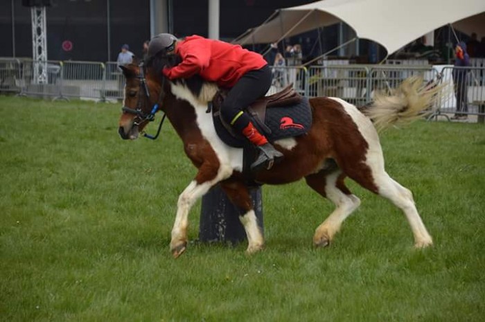 Photo de profil de eleponygames