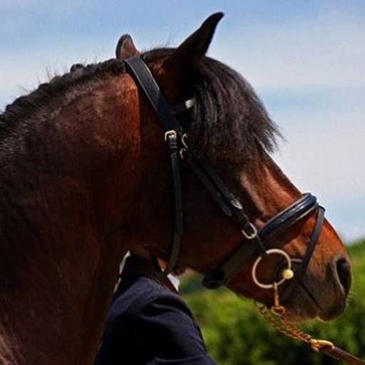 Photo de profil de elevagearquetan