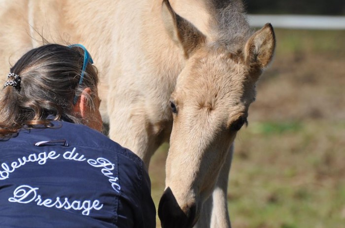 Photo de profil de elevageduparc