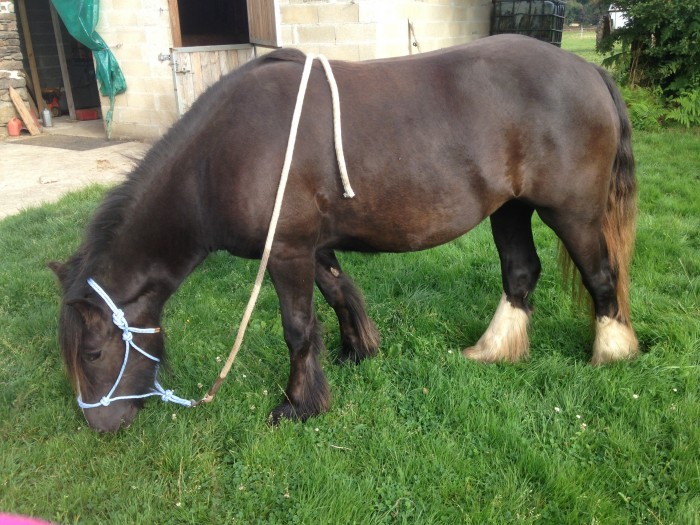 Photo de profil de elfie08