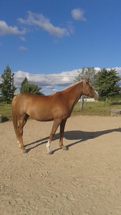 Photo de profil de elia0112