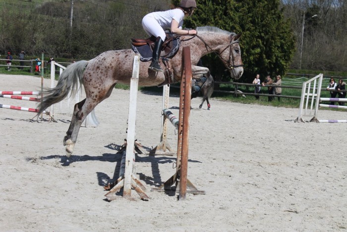 Photo de profil de elineay