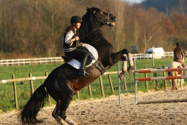 Photo de profil de elisa66000