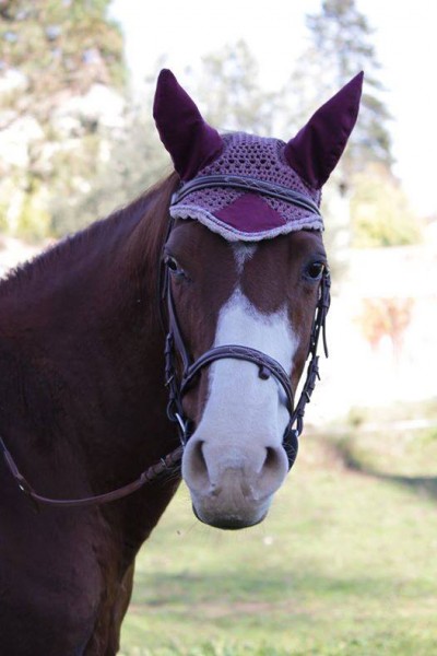 Photo de profil de elisadivertie