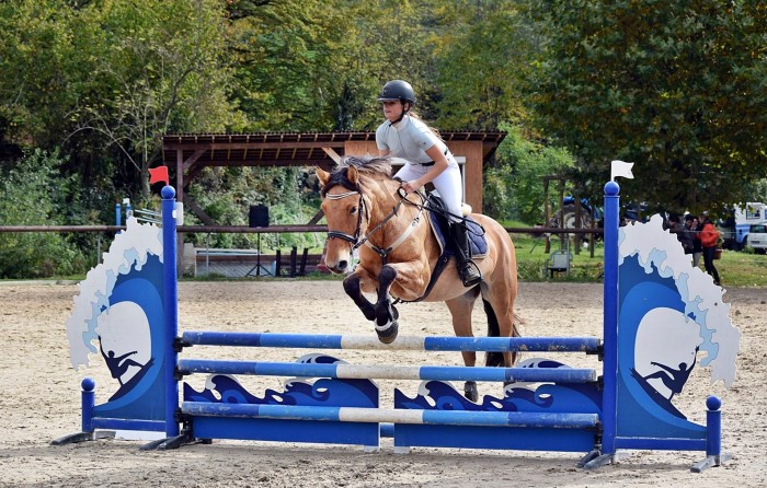 Photo de profil de elise.lpb