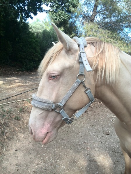 Photo de profil de eliza1