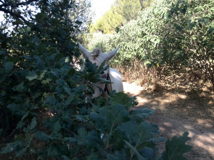 Photo de profil de eli.zaza