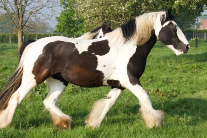 Photo de profil de elmumu