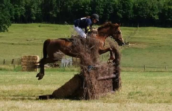 Photo de profil de elodie54