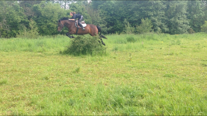 Photo de profil de elodieheron