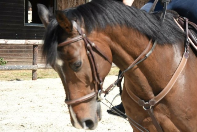 Photo de profil de elodie.marie