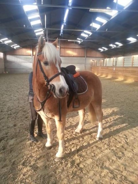 Photo de profil de elo.mimi