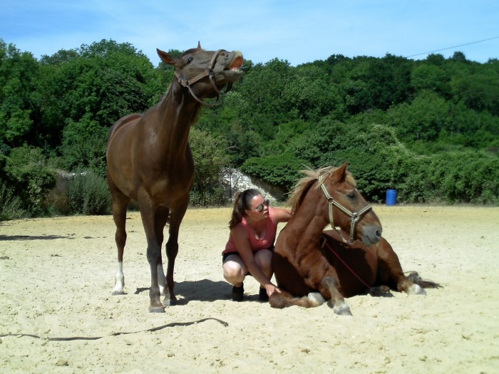 Photo de profil de elviha