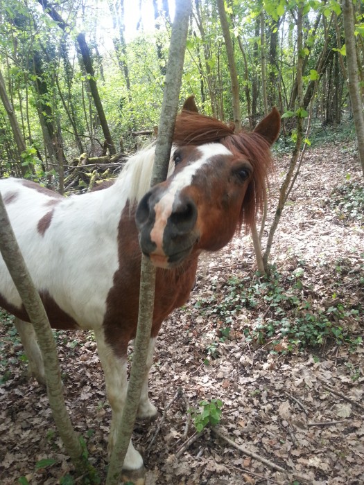 Photo de profil de elvira