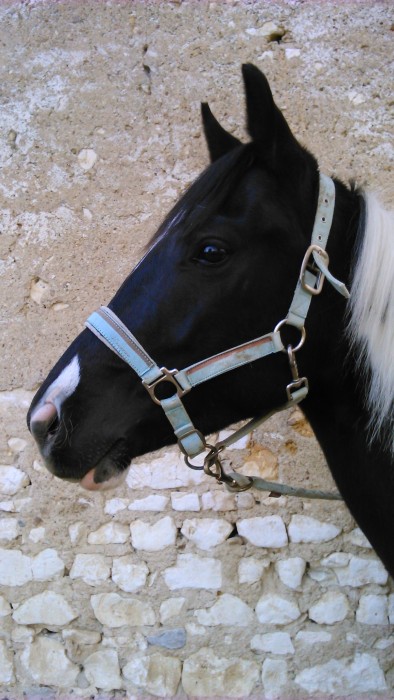 Photo de profil de emiavalon