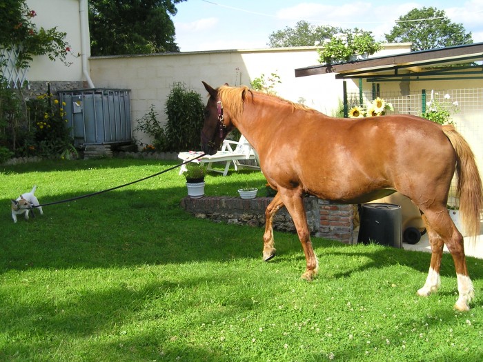 Photo de profil de emmacce