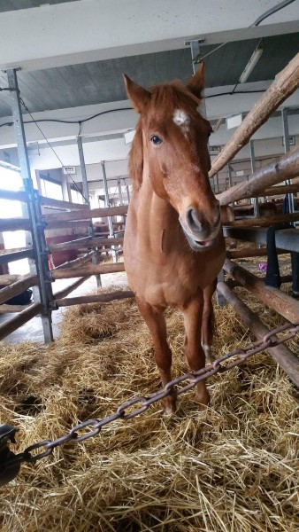 Photo de profil de emmapivert
