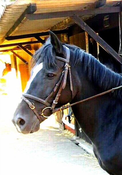 Photo de profil de emymbusemy