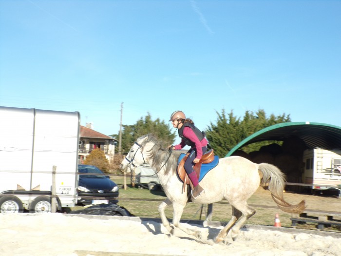 Photo de profil de endurancearabee