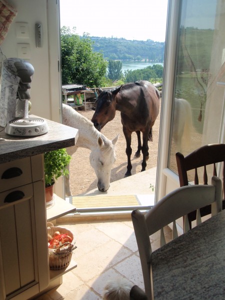 Photo de profil de enesad21