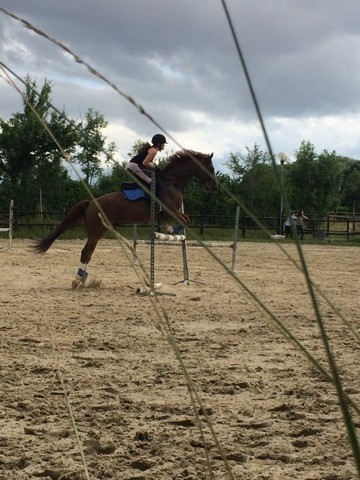 Photo de profil de enora95